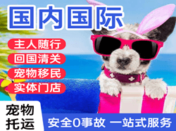 伊尔施机场托运国际宠物托运 【国